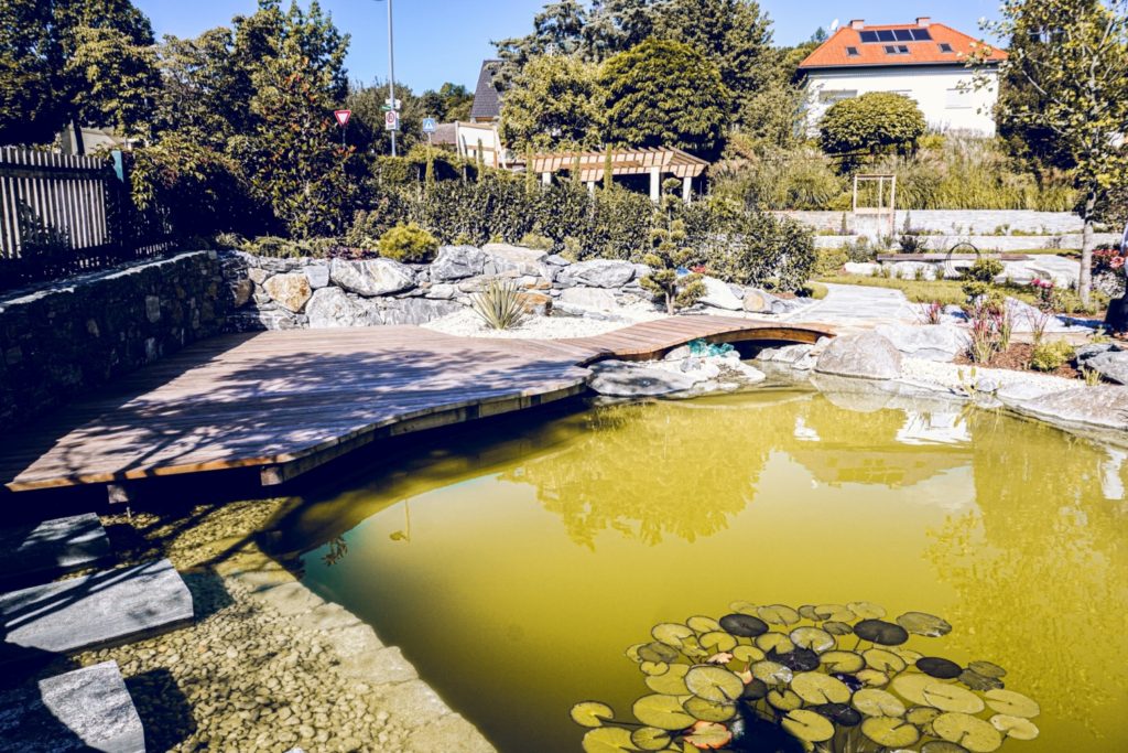 Badeteich und Brücke Garten Bayer