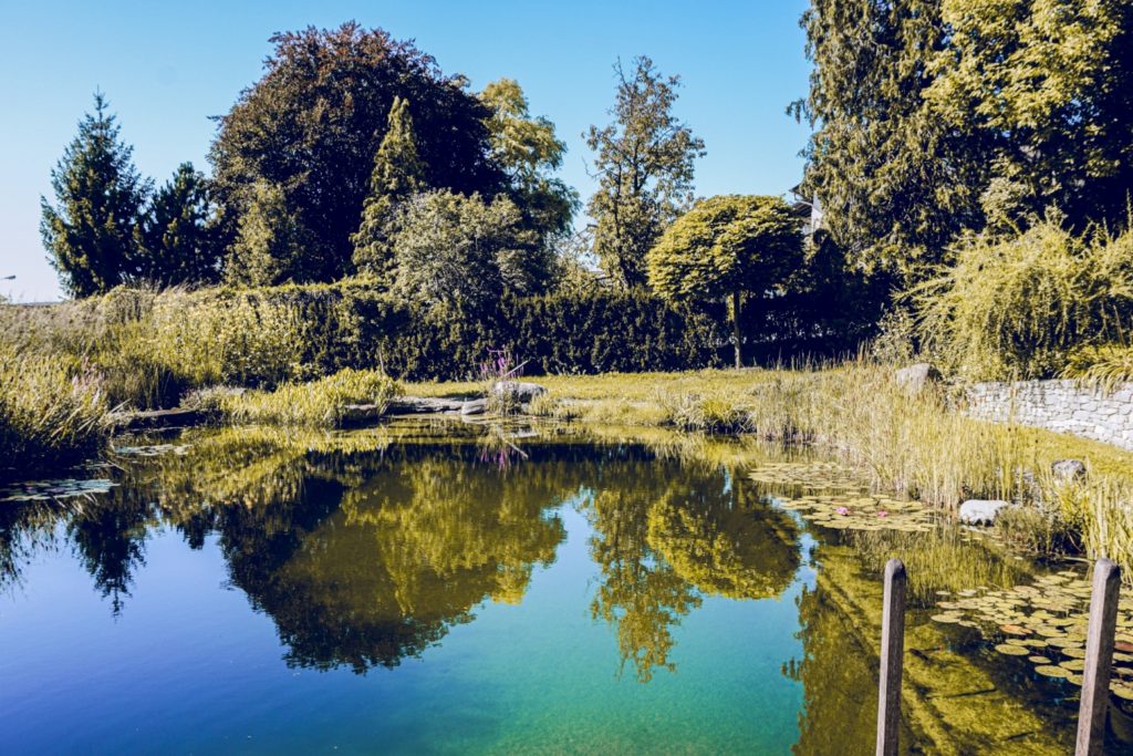 Badeteich Garten Bayer Hartberg